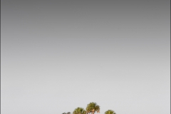 Palm-Island-Portrait-22x28Lrr