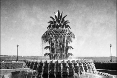 Palmetto_MG_4490r_BW_22x28L