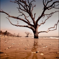 MG_2258-16x20